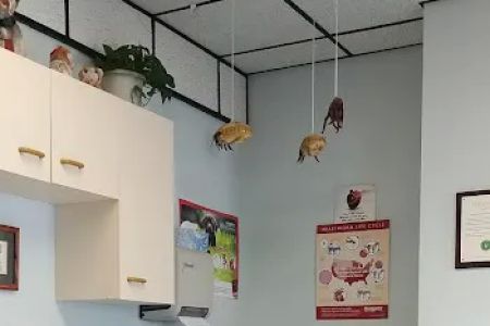 Atlantic Highlands Animal Hospital