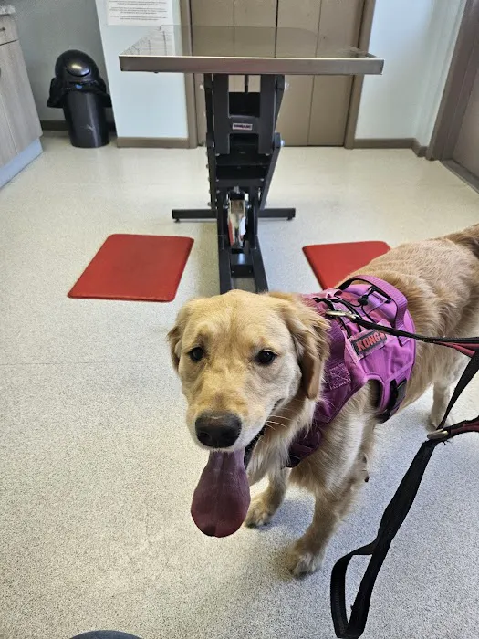Atlantic Highlands Animal Hospital 12