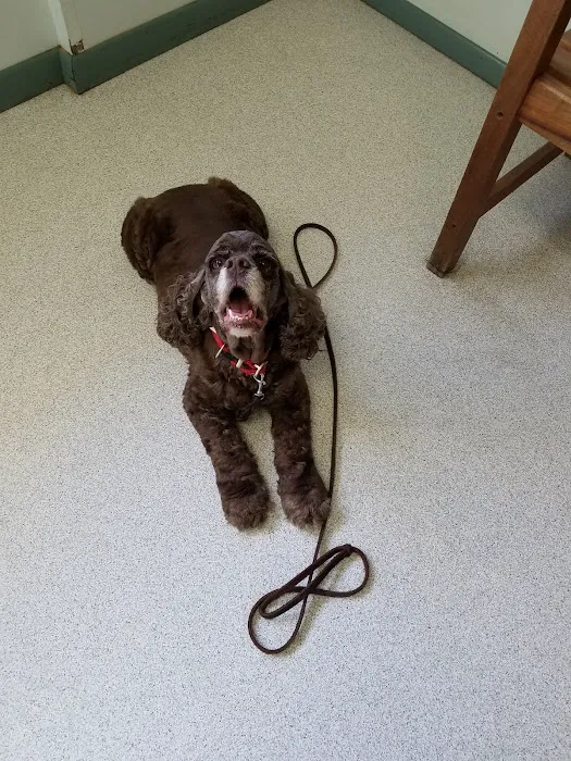 Atlantic Highlands Animal Hospital 12