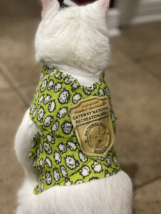 Shoreside Veterinary Care 12