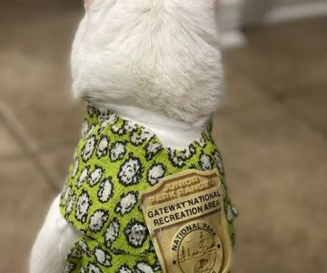 Shoreside Veterinary Care
