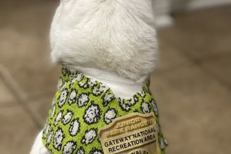 Shoreside Veterinary Care