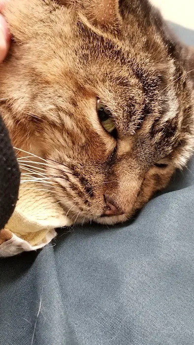 Banfield Pet Hospital 12