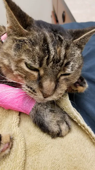 Banfield Pet Hospital 12