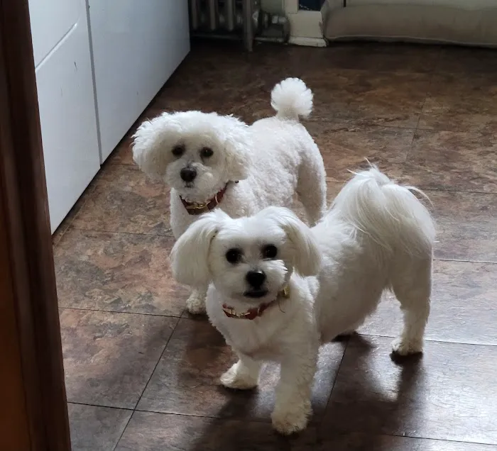 Banfield Pet Hospital 12