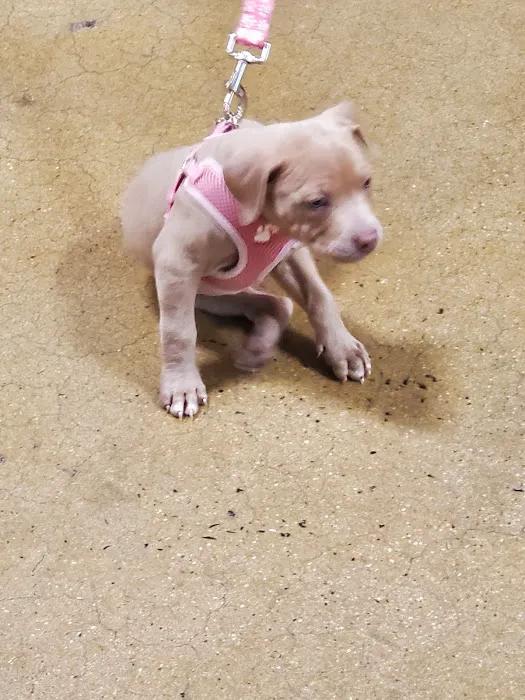 Banfield Pet Hospital 12