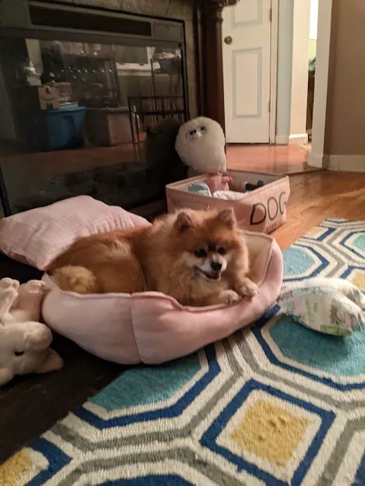 Banfield Pet Hospital 12