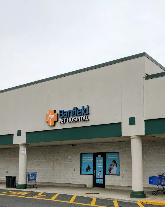 Banfield Pet Hospital 12