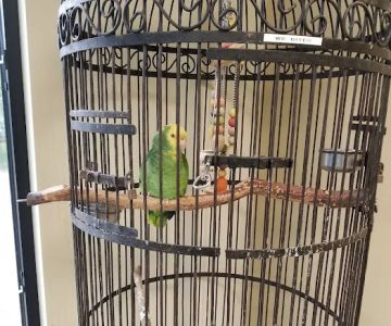 Woodbridge Veterinary Group
