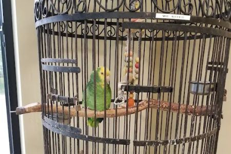 Woodbridge Veterinary Group