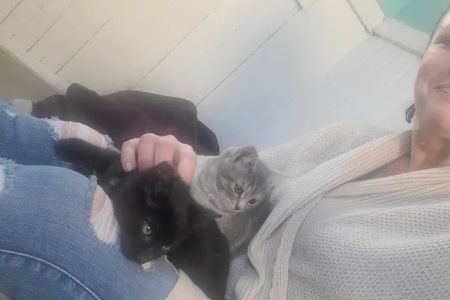 St Georges Veterinary Hospital: Mark Pamela M DVM
