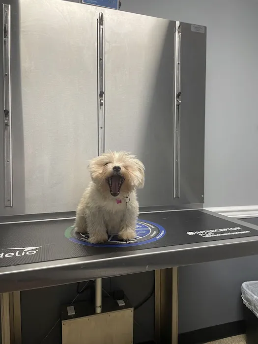 St. Georges Veterinary Hospital 12