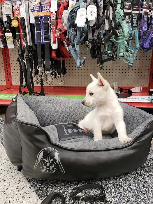Petco 8