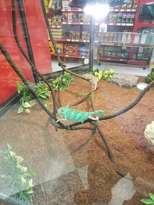 Petco 9