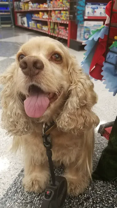 Petco 3