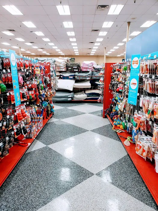 Petco 6