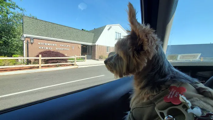 Richmond Valley Veterinary Practice 12