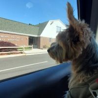 Richmond Valley Veterinary Practice ico