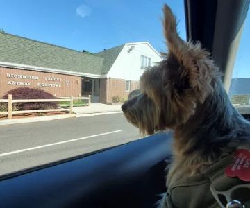 Richmond Valley Veterinary Practice