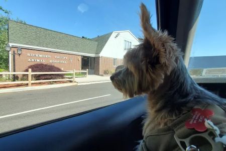 Richmond Valley Veterinary Practice