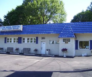 Clark Animal Hospital: Anant V Joshi DVM