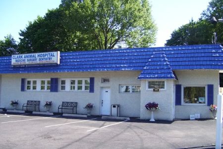 Clark Animal Hospital: Anant V Joshi DVM