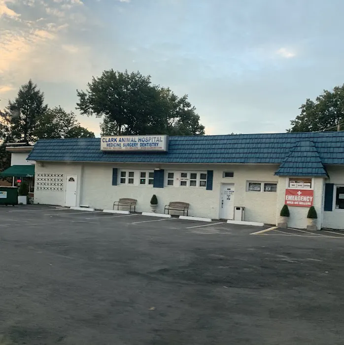 Clark Animal Hospital: Anant V Joshi DVM 12