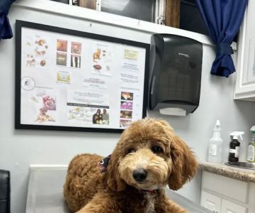 Clark Animal Hospital
