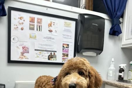 Clark Animal Hospital