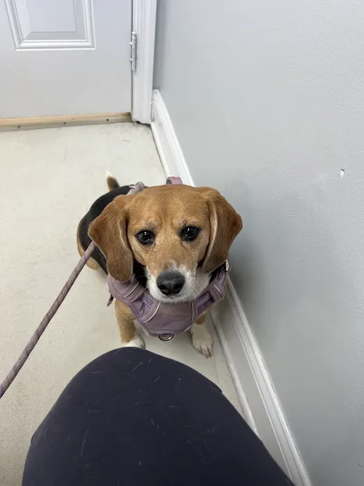 Clark Animal Hospital 12