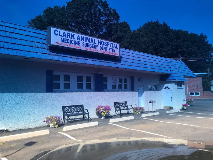 Clark Animal Hospital 12