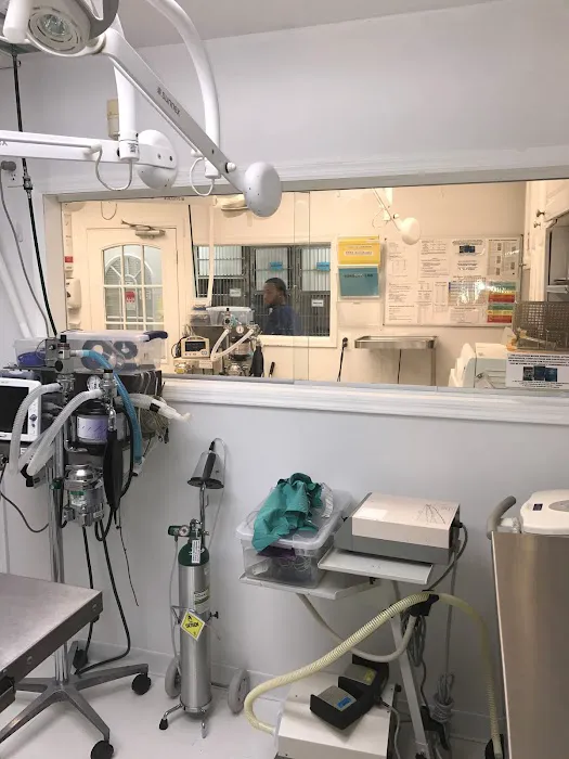 Clark Animal Hospital 12