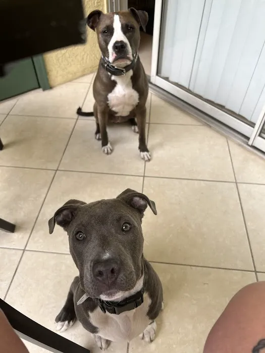 Rahway Veterinarian 12