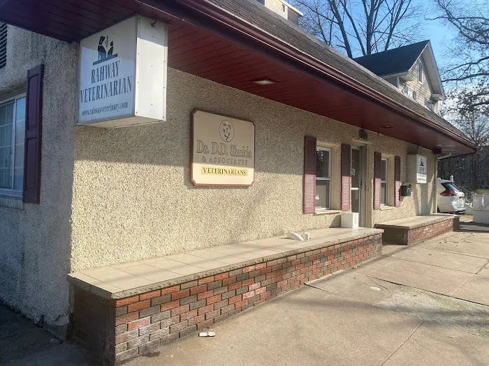 Rahway Veterinarian 12