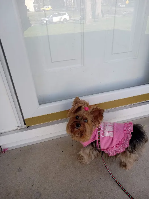 All Saints Animal Hospital 12