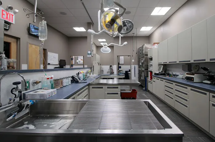 Pleasant Plains Animal Hospital South 12