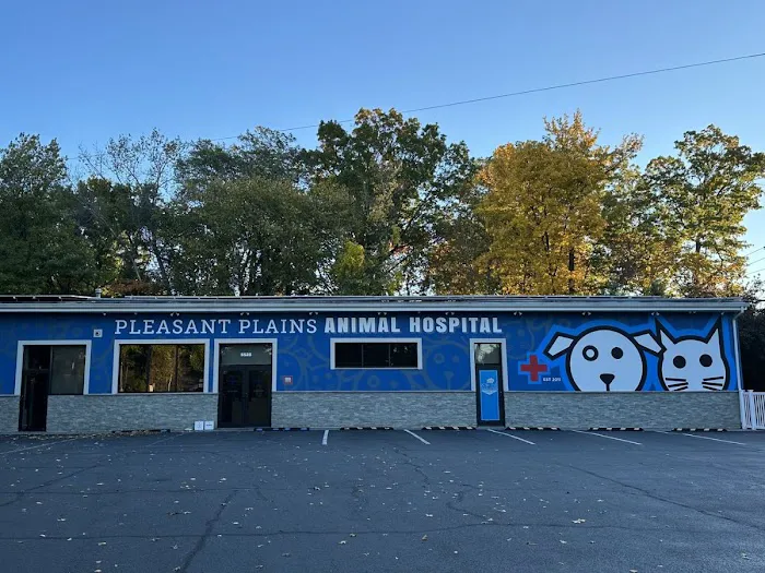 Pleasant Plains Animal Hospital South 12