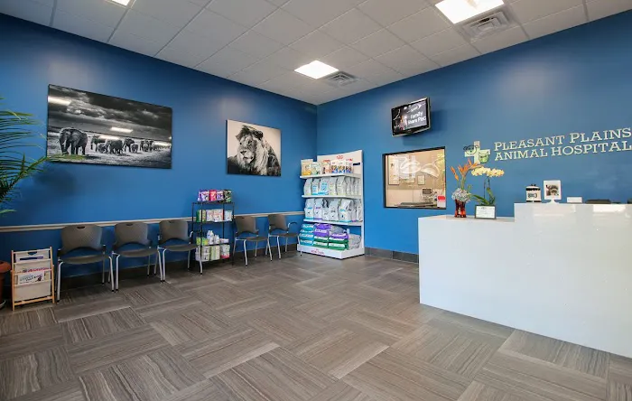 Pleasant Plains Animal Hospital South 12