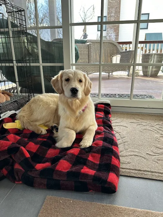 Basking Ridge Animal Hospital 12