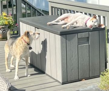 Basking Ridge Animal Hospital