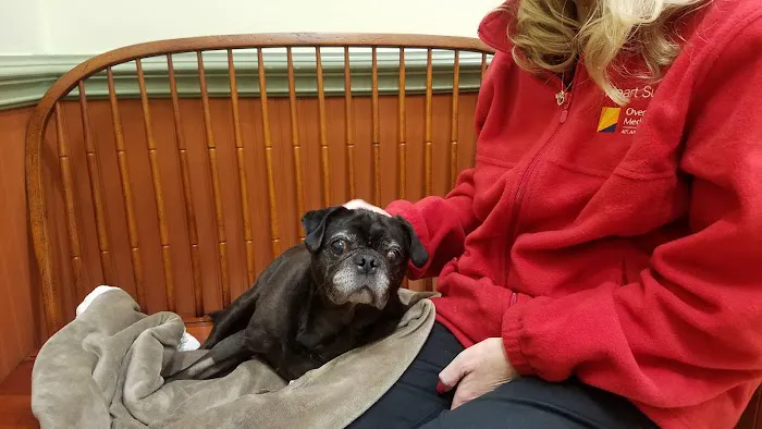 Basking Ridge Animal Hospital 12