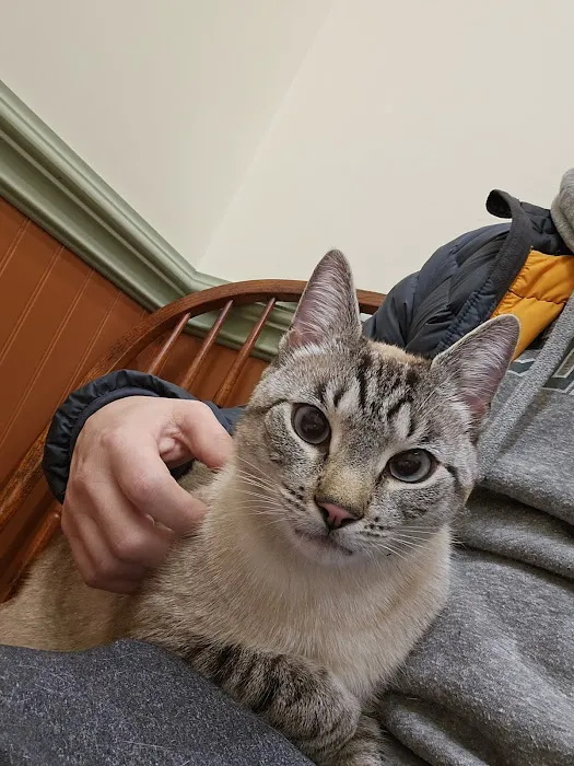 Basking Ridge Animal Hospital 12