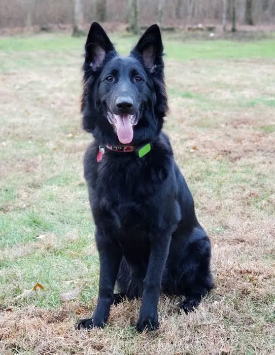 Califon Animal Hospital 12