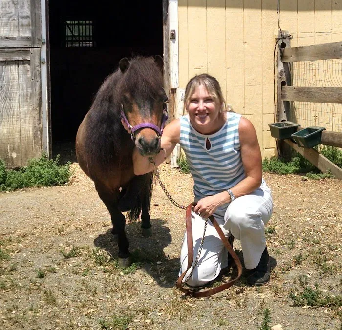 Califon Animal Hospital 12
