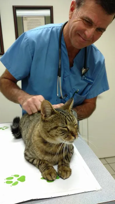 Califon Animal Hospital 12