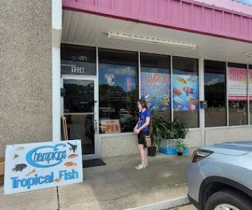 Champions Tropical Fish Room