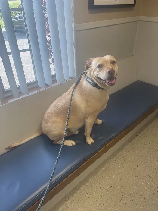 Lehigh Valley Animal Hospital 12