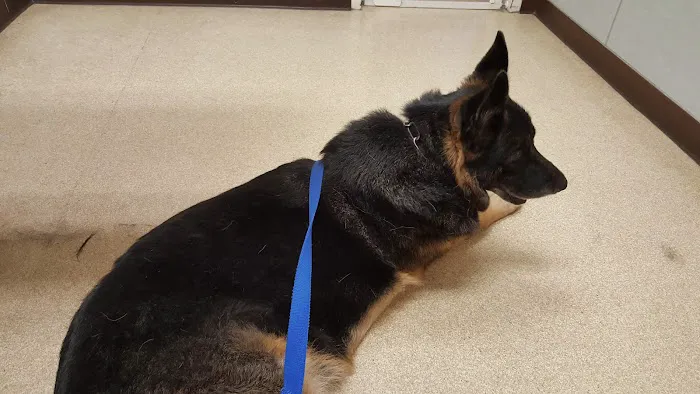 Lehigh Valley Animal Hospital 12