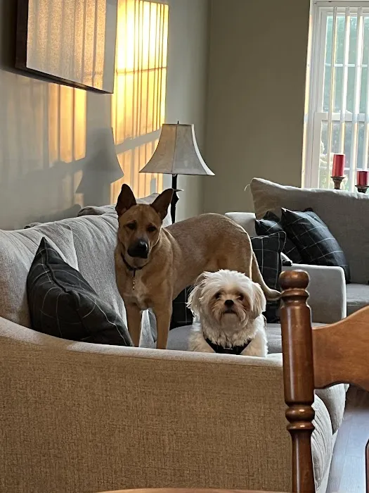 Lehigh Valley Animal Hospital 12