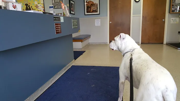 Lehigh Valley Animal Hospital 12